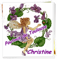 Poutous de Toulouse