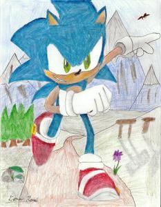 Sonic-the-Hedgehog-by-Terios-The-Hedgehog.jpeg