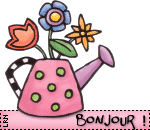 BJRarrosoir.gif