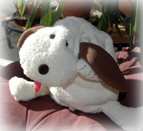 chienassis2.jpg