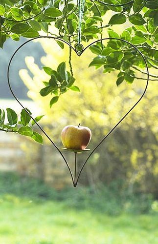 pomme-d-automne.jpg