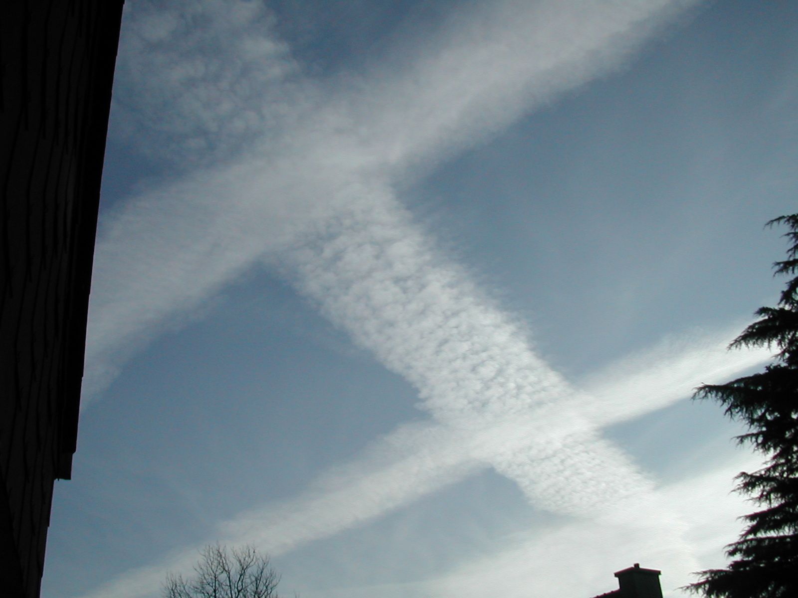 VAnnes-03-09.jpg