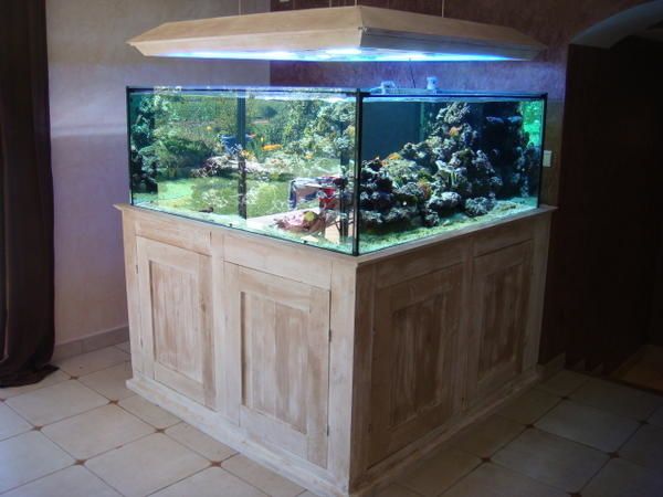 Aquatic Concept Implantée au coeur du Var, Aquatic Concept est une entrepri -> Aquarium Eau De Mer Design Aquatic Concept Implantée au coeur du Var, Aquatic Concept est une entrepri -> Aquarium Eau De Mer Design