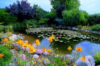 Rencontre de jardins gassin 2016