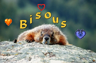 Résultat de recherche d'images pour "bisous marmotte"