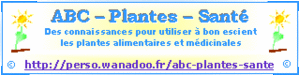 abcplantesant---.gif