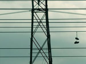 pied-de-grue.jpg