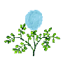 fleurs022.gif