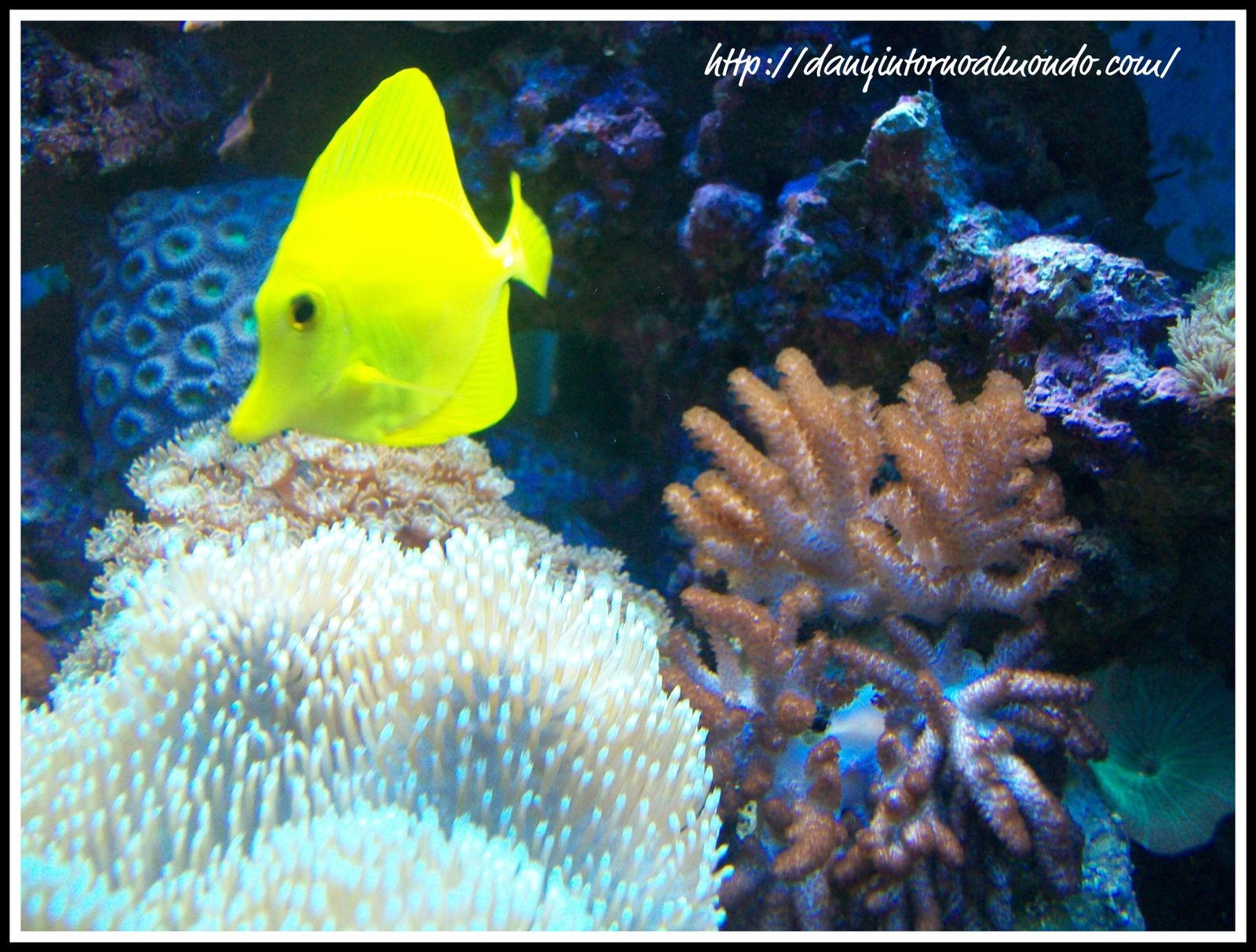 Under the Sea 3D 2009 - IMDb