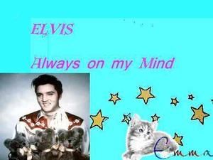 Copie-de-elvis-always-on-my-mind.jpg