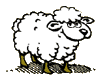 mouton.gif