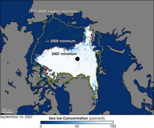 icemini-copie-1.jpg