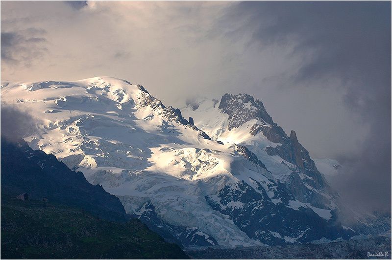 Les rencontres du travel management