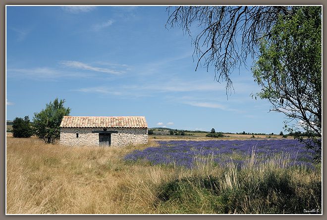 Provence 3659-640