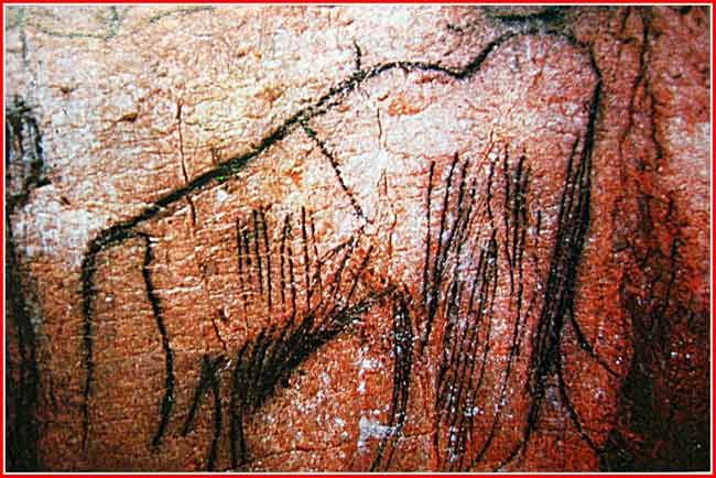 Cette peinture rupestre représentant un mammouth a été découvert dans trois grottes du sud de la France