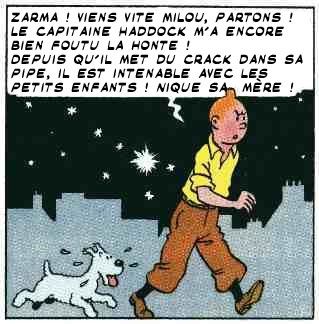 premiere rencontre entre tintin et haddock