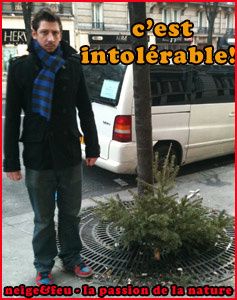 neigeetfeu.jpg