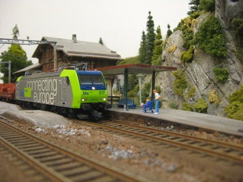 IMG-1165.JPG