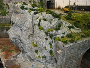 IMG-7346.JPG