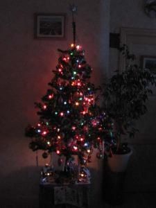 sapin-no--l-3621.jpg
