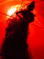 flamenco.jpg