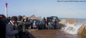Ambiance-clipon-071006d.jpg