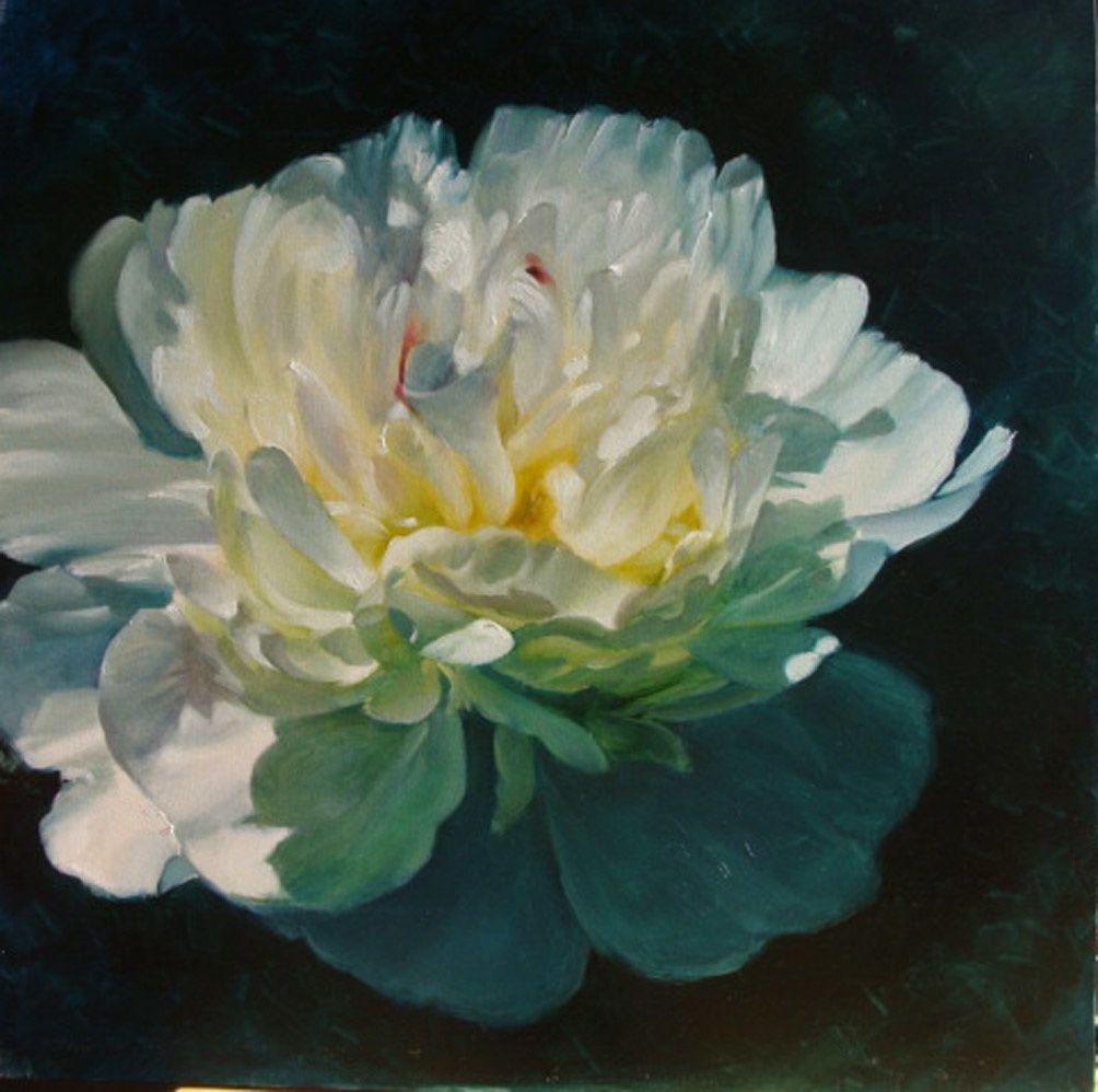 Pivoine