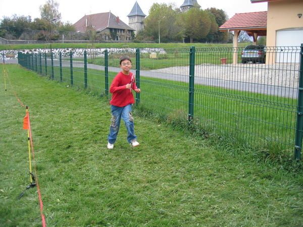IMG-2209.JPG