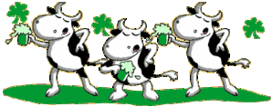 Vache3-qui-danse-et-boivent-biere.gif