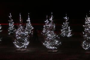 IMG-1878.JPG