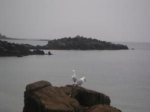 PICT0073-copy.JPG