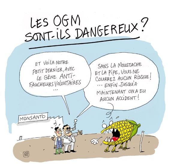 OGM3