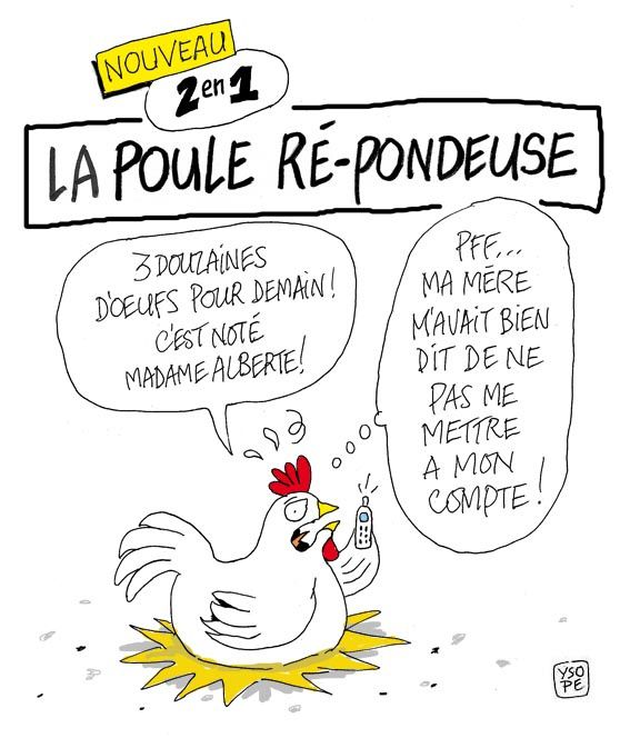 Poule répondeuse Ysope2