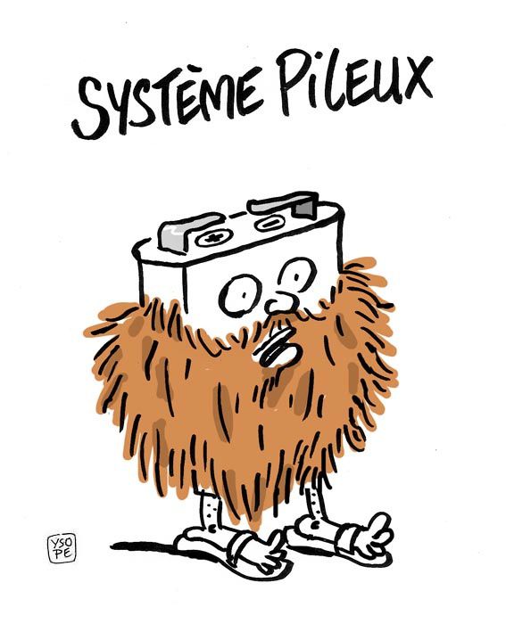 Systeme pileux Ysope