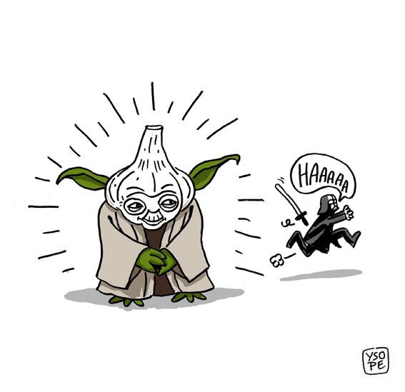 Maitre Yoda ail