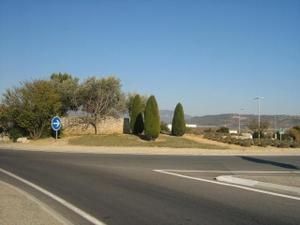 IMG-0743-1.jpg