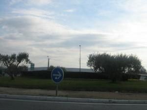 IMG-0769-1.jpg
