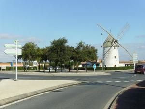 IMGP0001-1-1.jpg