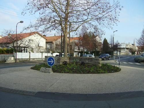 IMGP0001-14.jpg