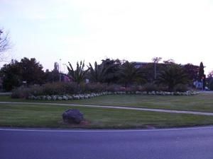 IMGP0006.jpg