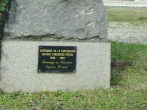 IMGP0008-5.jpg