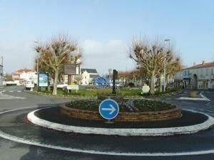 IMGP0009-5.jpg