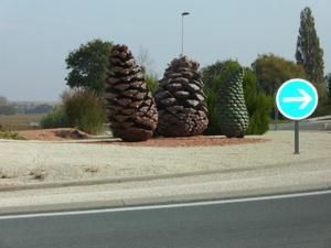 IMGP0010-1-1.jpg