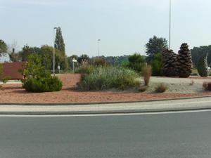 IMGP0011-1.jpg