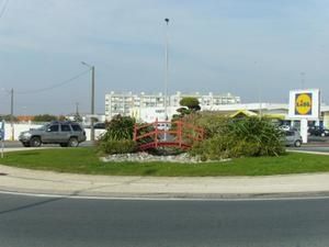 IMGP0012-1.jpg