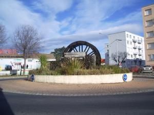 IMGP7992-1.jpg