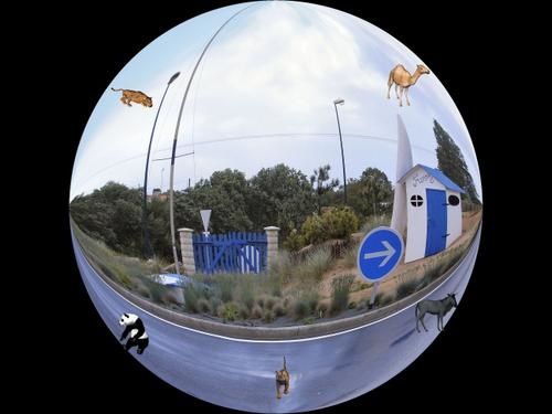 Rond-point-Challans6.JPG