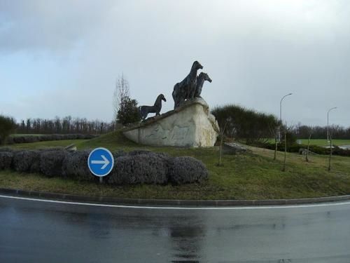 IMGP0024-1.jpg