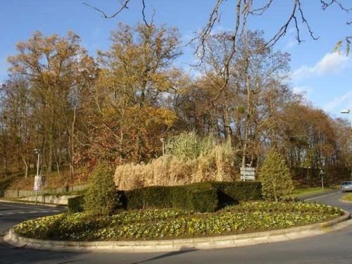 rond-point-Cergy-automne1--1.jpg