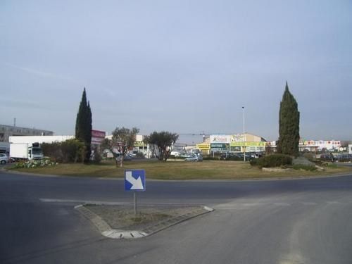 IMGP8735-1.jpg